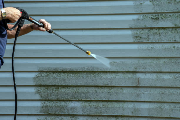 Best Roof Washing  in Burleson, TX